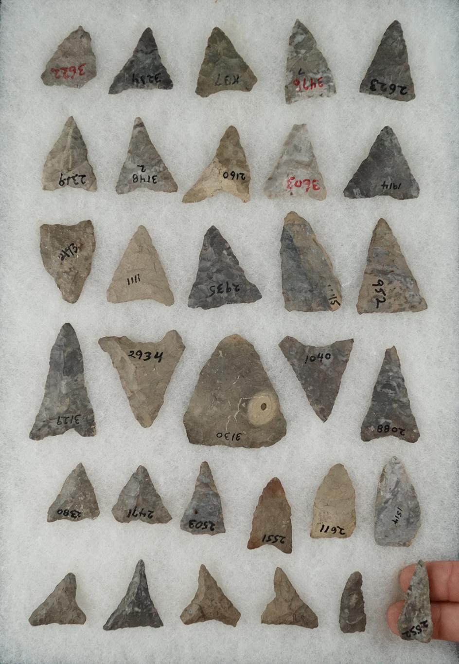 Group of 32 Mississippian Triangle points, largest is 1 7/8" all found in New York.