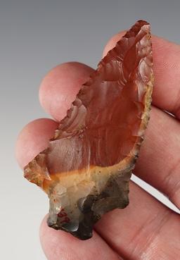 2 9/16" Pickwick made from highly colorful and sought-after Horse Creek Chert.