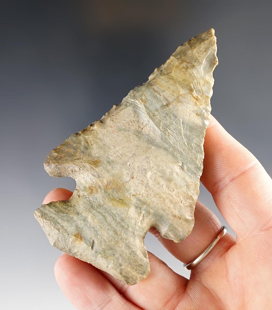 3 1/2" Archaic Bevel  - "Indiana Green" Chert. Kendallville, Noble Co., Indiana. Ex. Katz, Mullis.