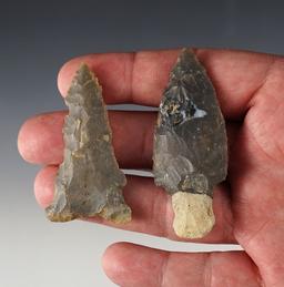 Pair of nicely made points found in Trigg Co., Kentucky. The largest is 2 5/8".