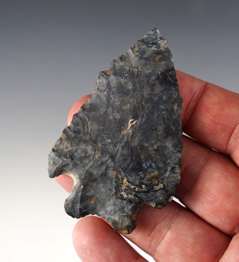Thin 2 3/4" MacCorkle made from Coshocton Flint. Found in Brookville, Franklin Co., Indiana.