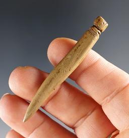 2 3/8" Highly Polished Bone Needle w/ suspension groove. Glovers Cave. Ex. Vietzen.