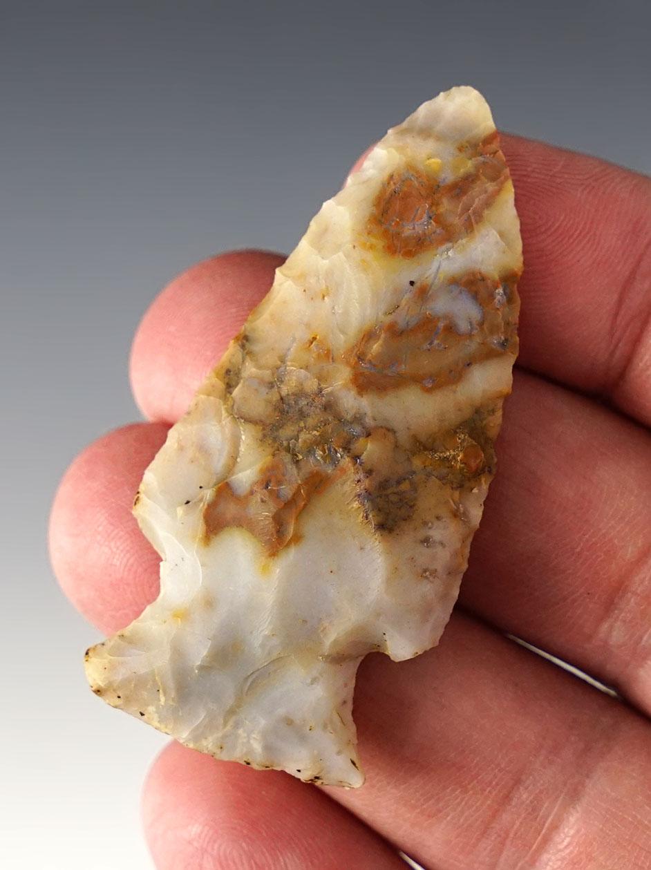 2 1/4" highly colorful Hopewell - Flint Ridge Flint. Found in Knox Co., Ohio by Jack Hooks.