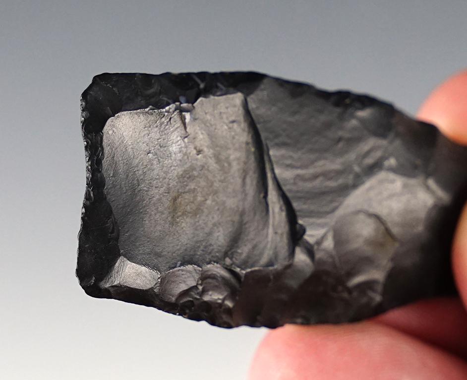 2 3/8" Paleo Clovis made from Zaleski Flint. Found in Licking Co., Ohio. Bennett COA.