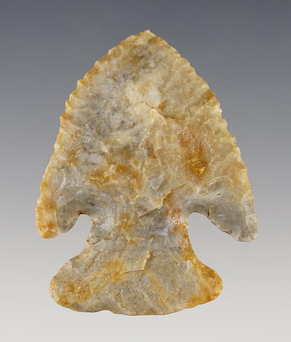 2 1/2" Archaic Bevel made fromCoshocton Flint. Found in Tuscarawas Co., Ohio. Bennett COA.