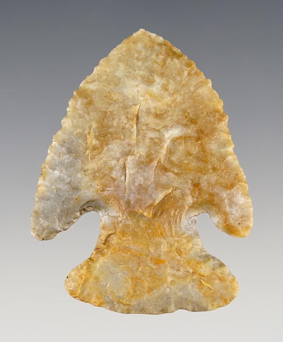 2 1/2" Archaic Bevel made fromCoshocton Flint. Found in Tuscarawas Co., Ohio. Bennett COA.