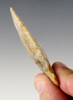 2 1/2" Archaic Bevel made fromCoshocton Flint. Found in Tuscarawas Co., Ohio. Bennett COA.