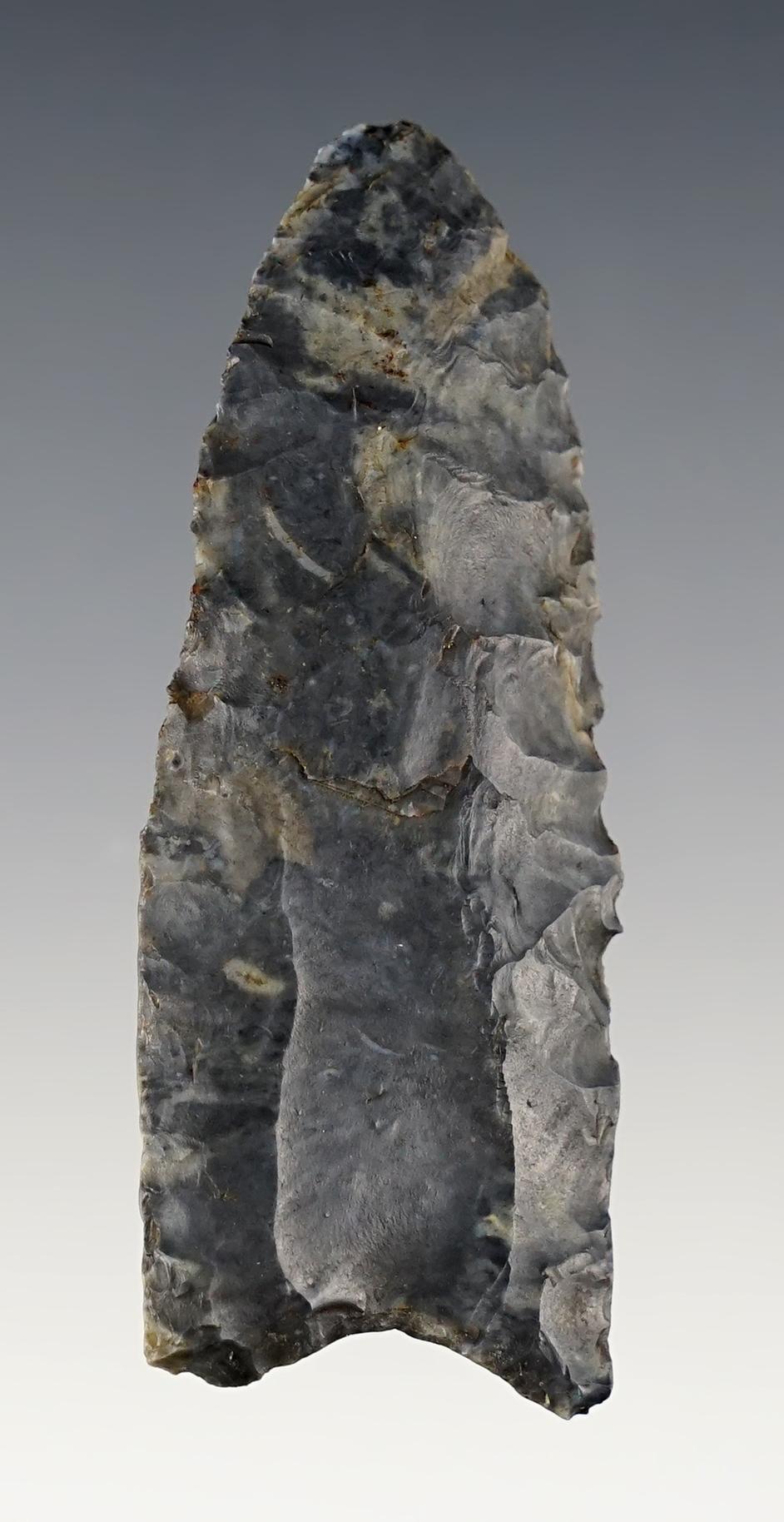 2 5/8" Fluted Paleo Clovis - Licking Co., Ohio. Classic style. Comes with a Dickey COA.