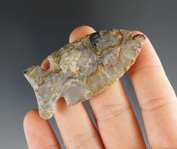 2 1/2" classic style Archaic Sidenotch made from multi-color Coshocton Flint. Found in Ohio.