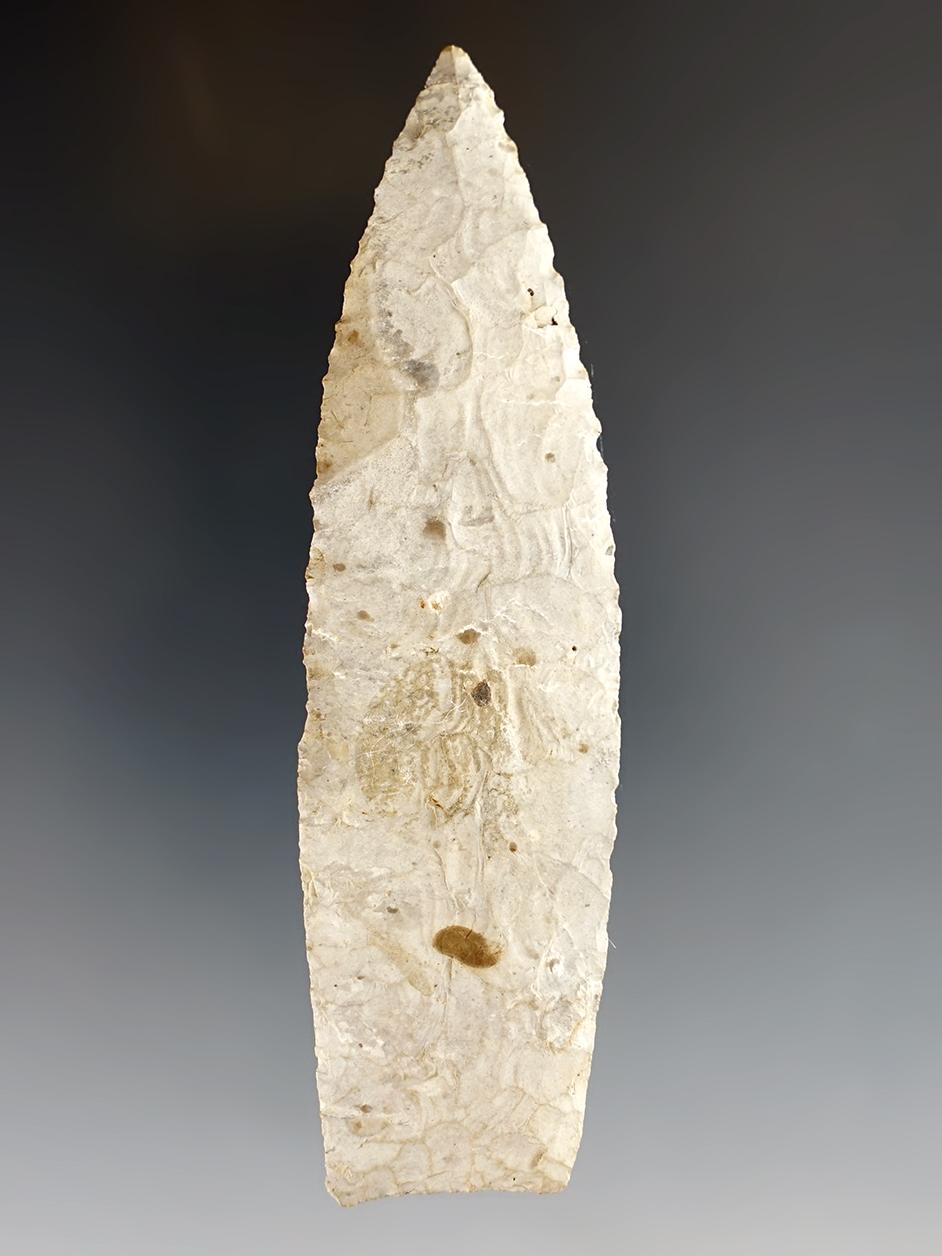 4 1/2" Paleo Lanceolate - Tuscarawas Co., Ohio.  Ex. Jack and Doug Hooks. Pictured.