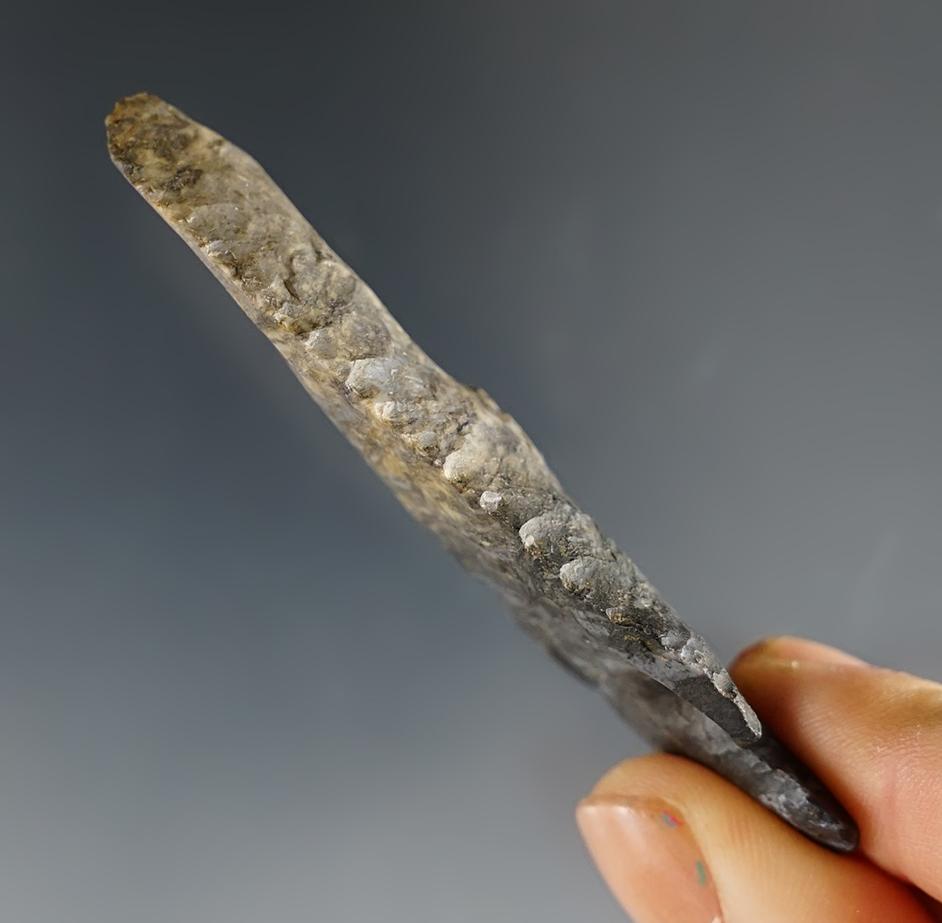2 7/8" Archaic Bevel made from 2-tone Coshocton flint.  Found in Union Co., Ohio.
