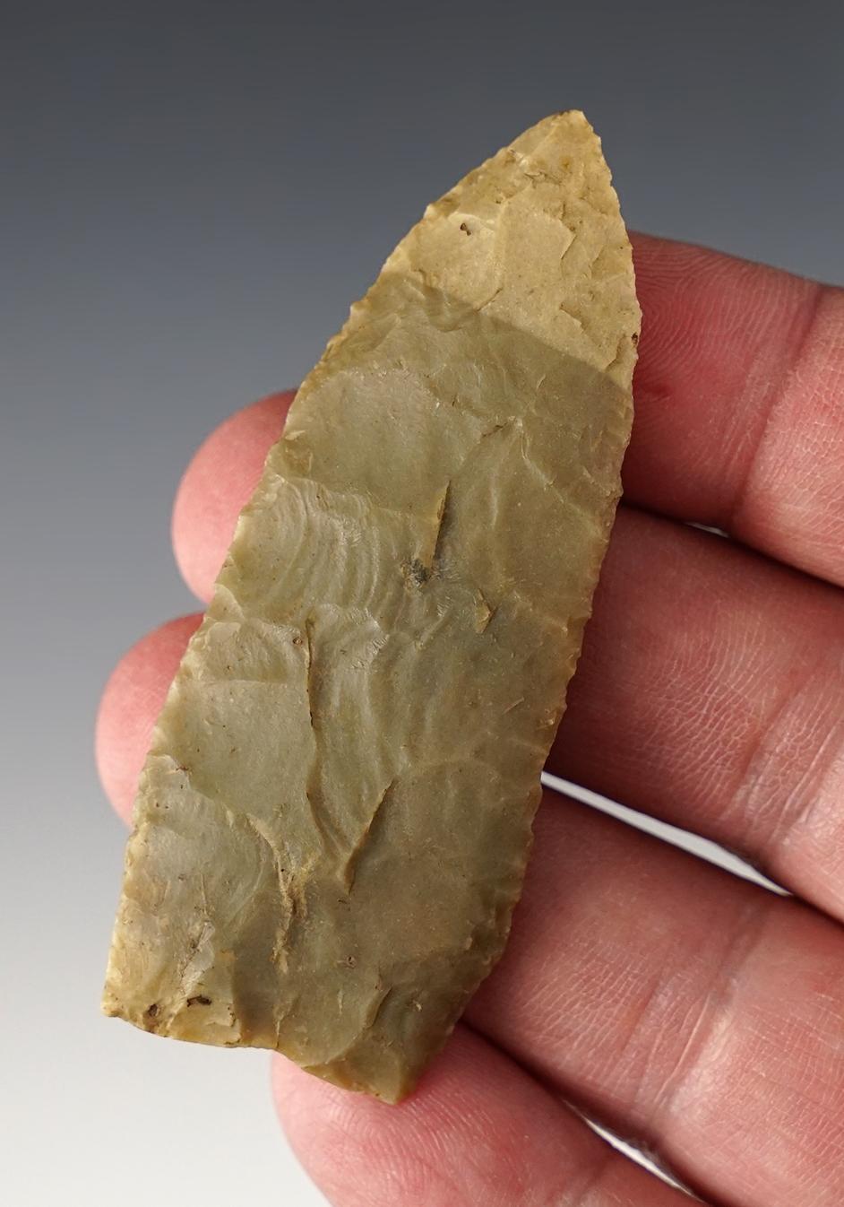 2 3/4" Paleo Lanceolate with excellent grinding to the lower edges. Found in Northwest Ohio.