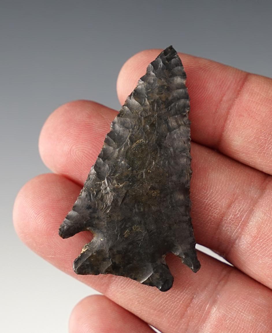 2 1/8" Archaic Cornernotch made from Coshocton Flint. Coshocton Co., Ohio. Ex. Rob Dills.