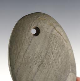 Thin and well made 3 1/16" Adena Elliptical Gorget with tallies -  Ottawa Co., Ohio. Ex. Johnson.