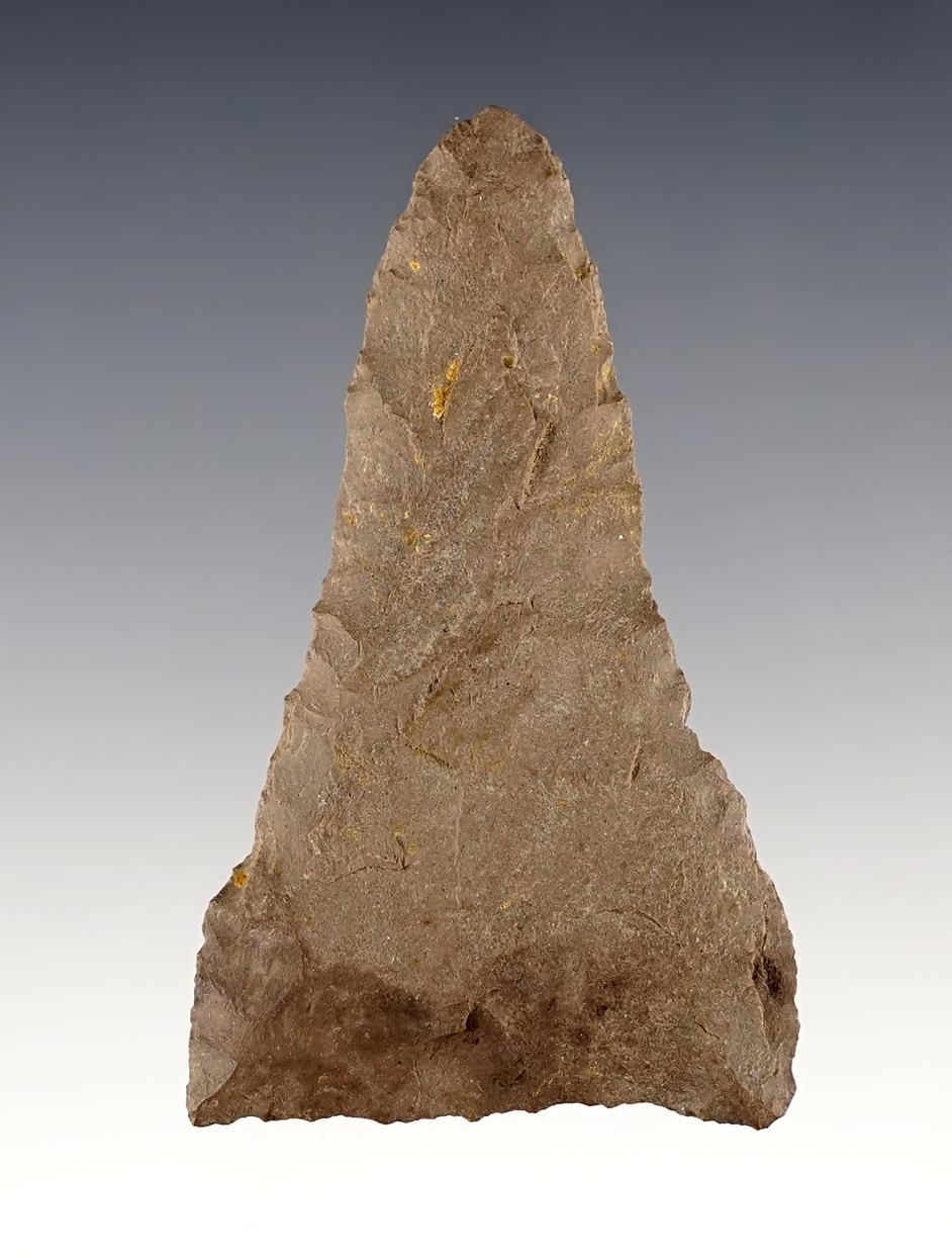 2 7/8" Plateau Pentagonal found in the 1950's by Norma Berg in Washington. COO.