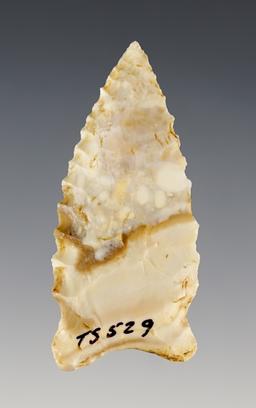 2 3/8" Greenbriar made from Nodular Chert. Found near Joplin in Jasper Co., Missouri.