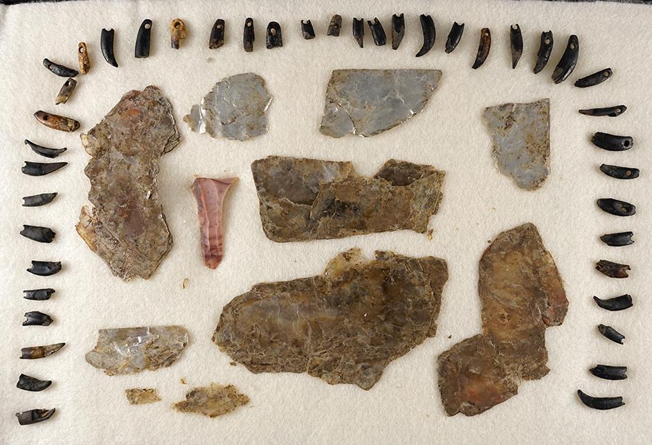 Group of drilled animal teeth in various conditions, Micah and Flint Ridge bladelet - Ohio.