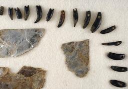 Group of drilled animal teeth in various conditions, Micah and Flint Ridge bladelet - Ohio.