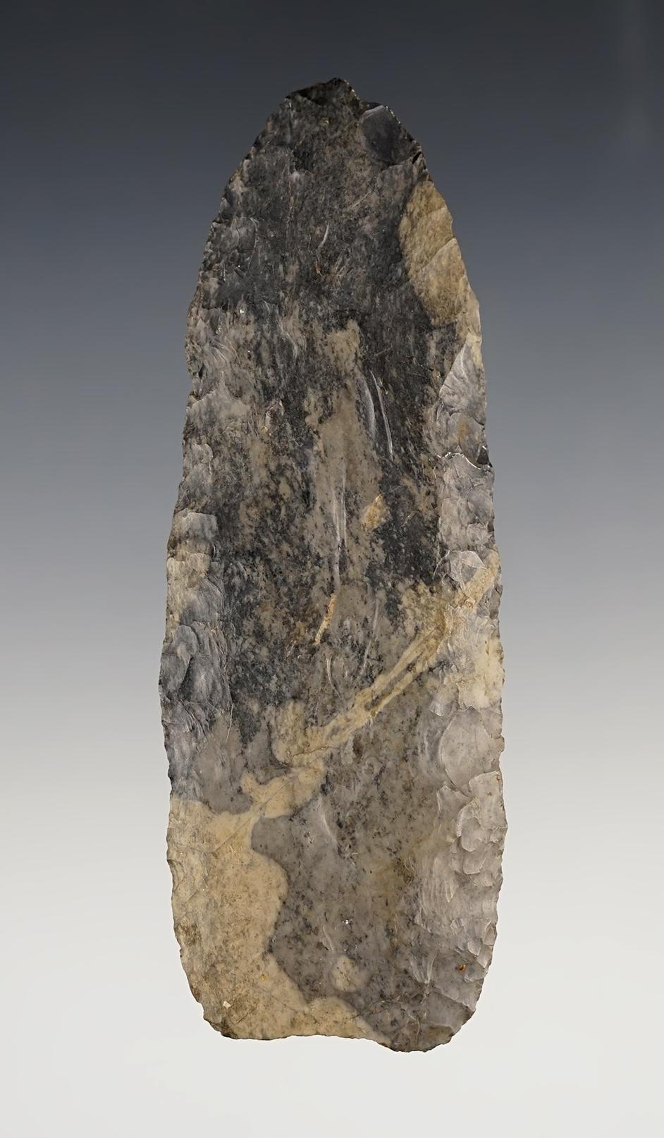 Outstanding 4 1/16" Paleo Blade found in Tuscarawas Co., Ohio.