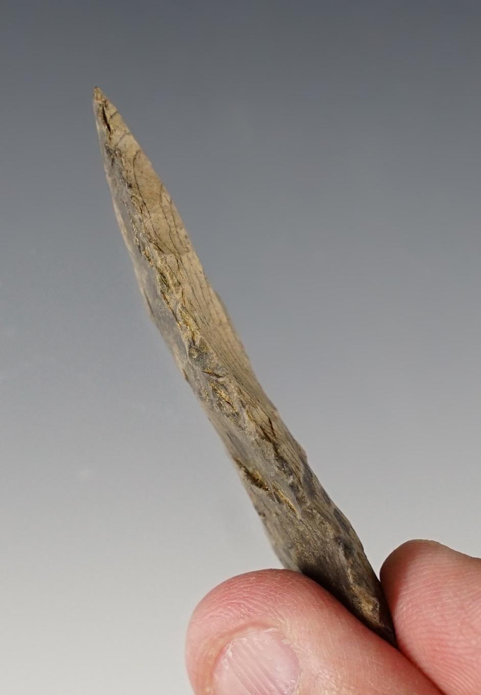 Nice 2 5/16" Lerma Blade found in Lincoln Co., Colorado.