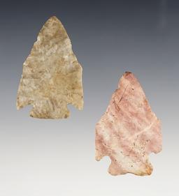 Nice pair of Pentagonals found in Ohio, largest is 2 1/8".