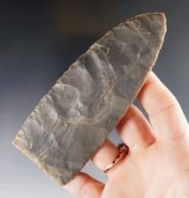 One of Five Plano blades made from Hornstone found together as a cache in a cave in Kentucky.