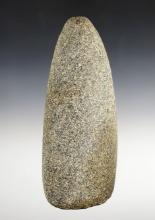 Large 6 7/8" Adze -nicely colored Hardstone with good overall polish. Williams Co., Ohio.