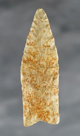Fine 2 7/8" Plainview made from Chert. Excellent ancient grinding. Arkansas.  Rogers COA.