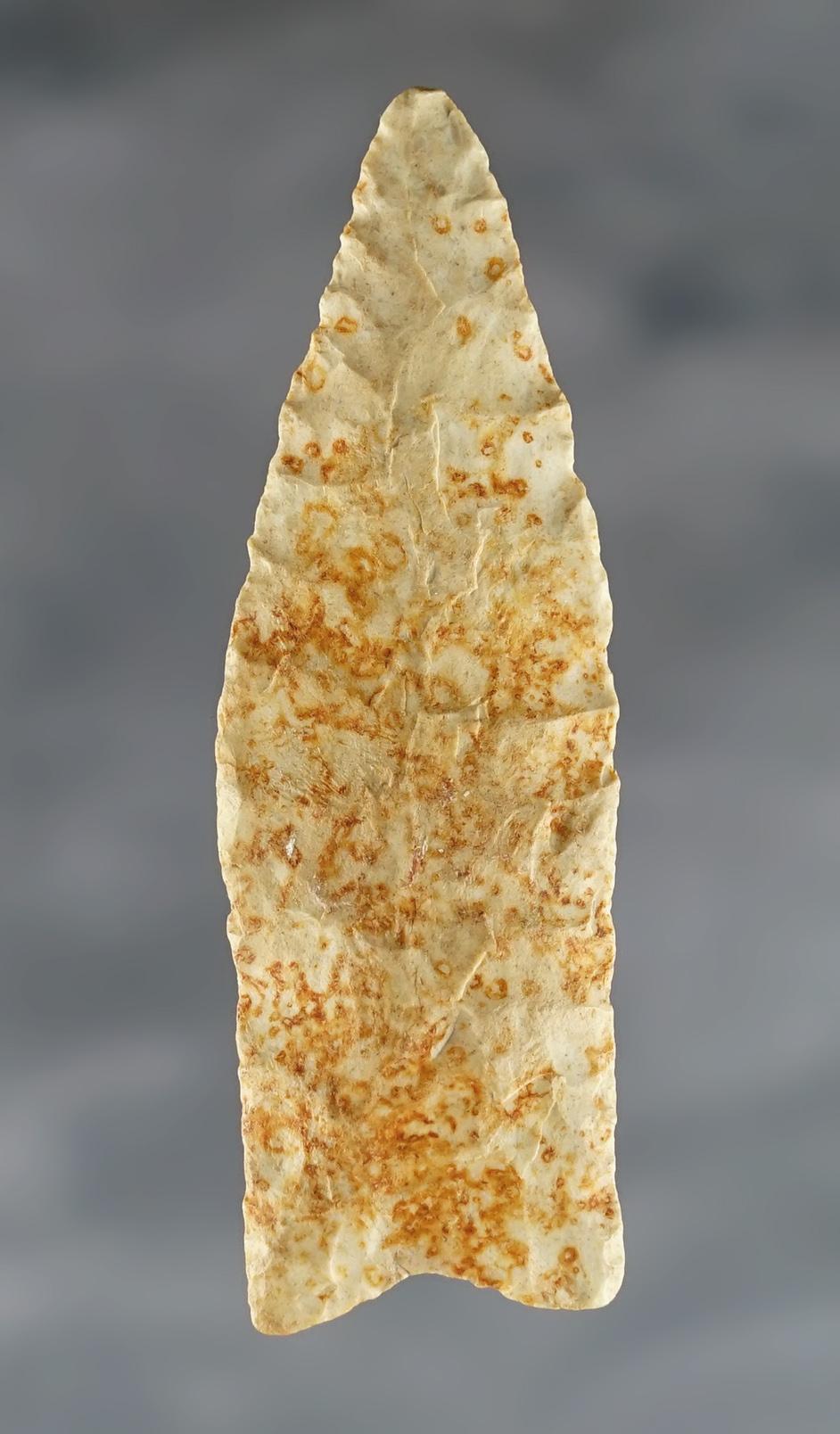 Fine 2 7/8" Plainview made from Chert. Excellent ancient grinding. Arkansas.  Rogers COA.