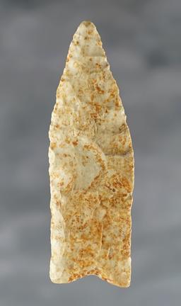 Fine 2 7/8" Plainview made from Chert. Excellent ancient grinding. Arkansas.  Rogers COA.