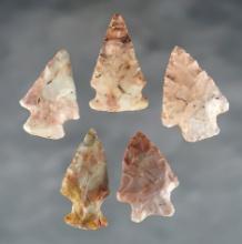 AMAZING COLOR! Set of 5 Ohio points made from beautiful Flint Ridge Flint. The largest is 1 5/8".