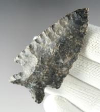 2 5/8" Archaic Concave Base Cornernotch found in Wayne Co., Ohio. Made of Coshocton Flint.