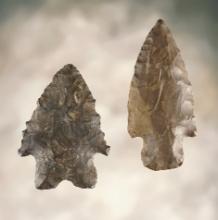 Pair of points including a 2 3/8" Heavy Duty and a Coshocton Flint Bifurcate.