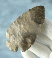 3 1/4" multi-colored Dovetail that is highly patinated. Looks to have been in heat prehistorically.
