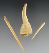 Set of three Bone Artifacts from the Fox Field Site in Kentucky. A Pendant and two Needles.