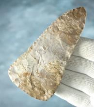 4 1/4" Cobbs Blade that is steeply beveled. Made from Ft. Payne Chert. Found in Tennessee.