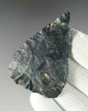 Excellent flaking on this 2 3/8" Coshocton Flint Blade found in Ohio.