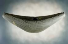 6 1/8" Slate Crescent Bannerstone found in Delaware Co., Indiana. Investment grade relic.