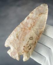 5" Hopewell found in Union Co., Illinois. Nice mineral deposits on surface.