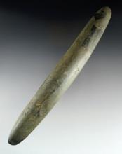 Rare! 8 3/4" Pre-Columbian Taino Culture Double Bit Hardstone Chisel/ Celt. Found in Hispaniola.