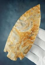 Large 5 1/2" First Stage Etley Knife made from Oolithic Chert. Found in Henry Co., Missouri . COA's.