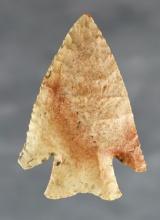 2 1/2" Hardin found in Brown Co., Illinois on 10-14-1983 by Andy Scott. COA. Ex. Jim Crawford.