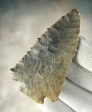 3" Hardstone Decatur Fractured-Base found by Tim Quackenbush in Orange Co., Indiana. COA.