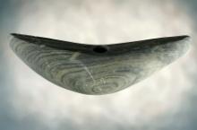 Fine 5 1/4" Banded Slate Crescent Bannerstone found in Montgomery Co., Ohio. Ex. Shipley.