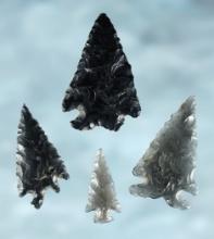 Set of 4 Obsidian points including two Elko's, a 1 7/16" Pinto Basin, and a 1" Rose Springs.