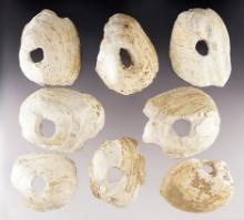 Set of 8 Shell Hoes fund in Mason Co., West Virginia. The largest is 3 7/16".