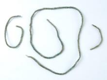 Set of three rare, very small Micro Brass Beads with original thread.  Burrell Creek Site, NY.
