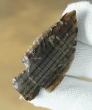 Thin 2" Petrified Wood Knife found in Benton Co., Washington. Ex. Charlie Mitchell (YIM).