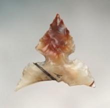11/16" x 11/16" Ashahka Side Notch found near the Yakima River, Yakima Co., Washington.