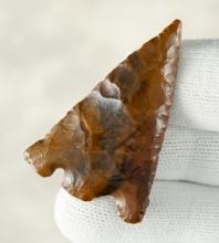 Nice 1 13/16" Hernando made from glossy river-stained Coastal Plains Chert. Found in Florida.